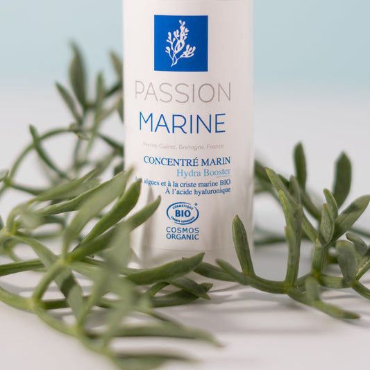Soins marins bretons : l'alliance entre tradition et innovation