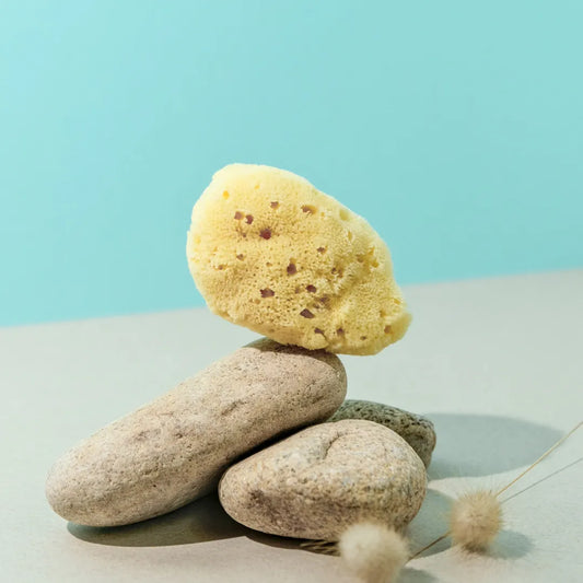 Éponge Naturelle Petit Modèle : Un Trésor de Douceur pour Votre Peau