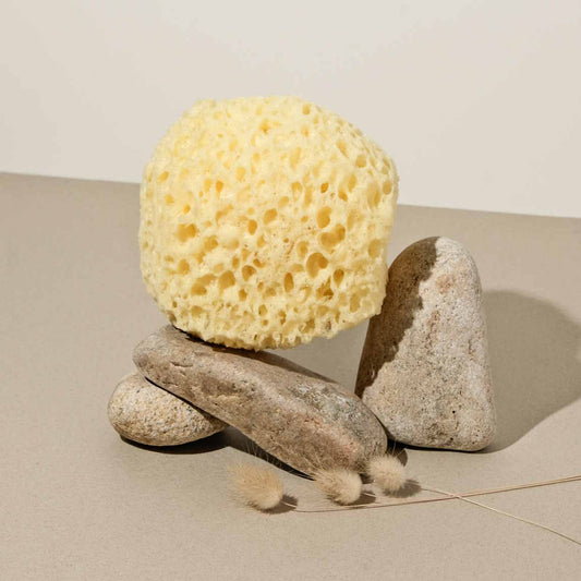 Small natural sponge
class=