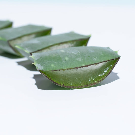 Les pouvoirs magiques de l'Aloe Vera pour une peau éclatante avec Passion Marine