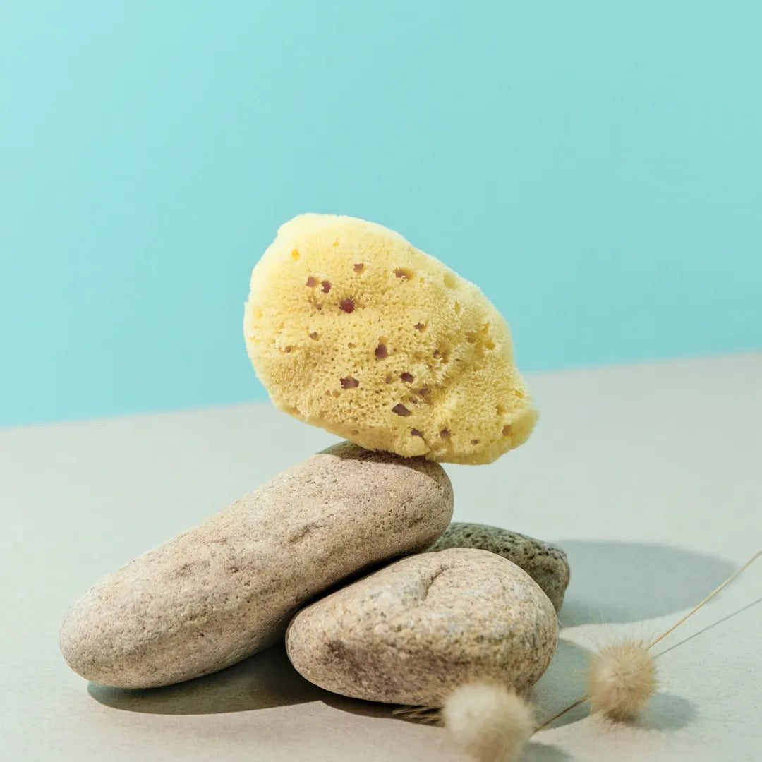 Éponge Naturelle Petit Modèle : Un Trésor de Douceur pour Votre Peau