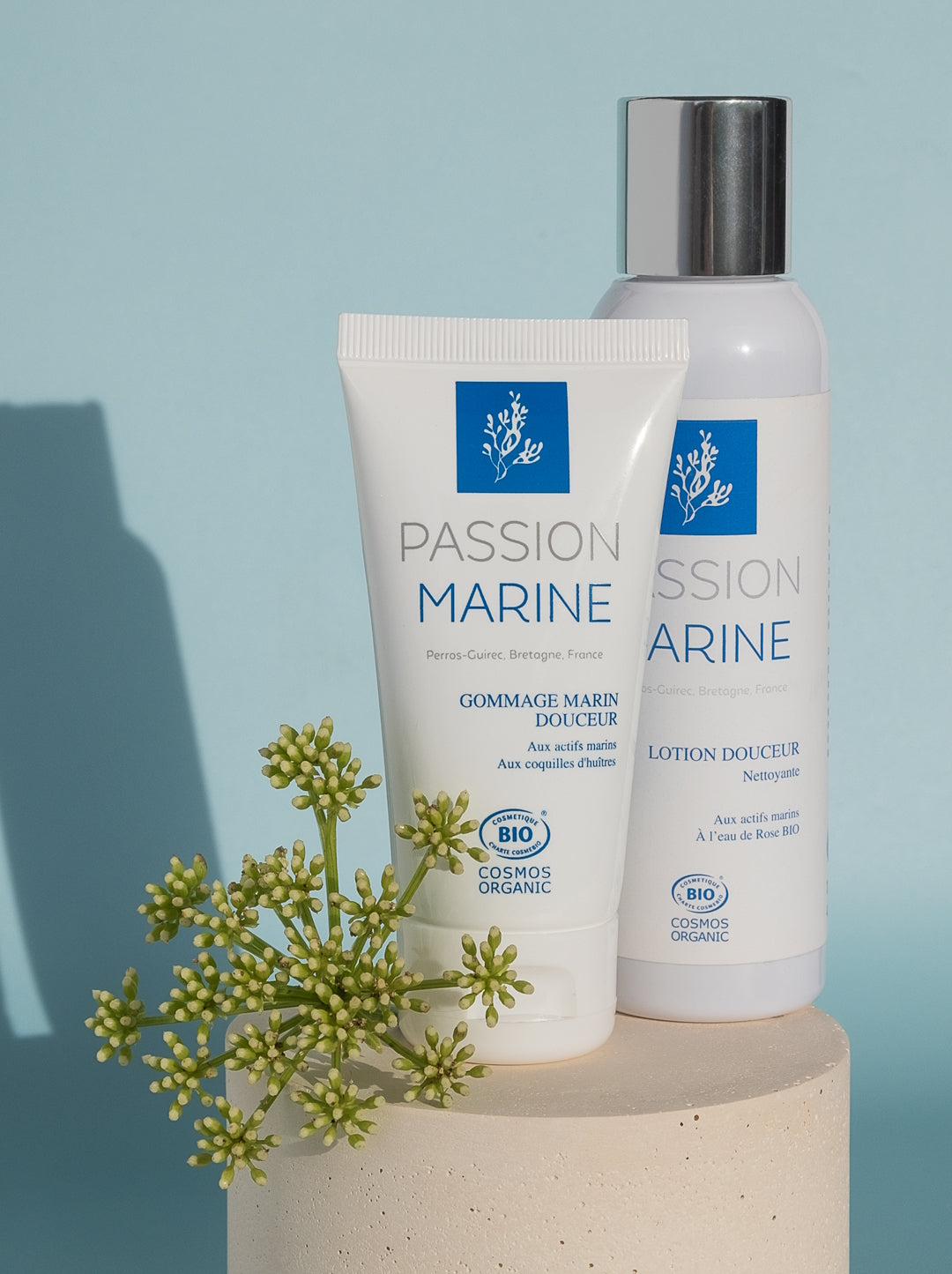 Routine de soin : intégrez le gommage naturel pour le visage - Passion Marine