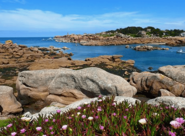 Les crèmes de jour bio: une solution écologique et saine - Passion Marine