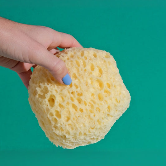 Small natural sponge
                  class=